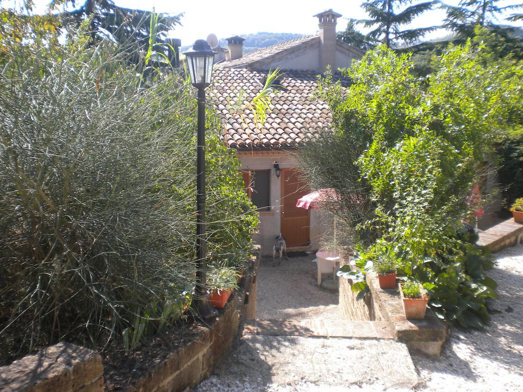Agriturismo Le Vergare Offagna Exteriér fotografie